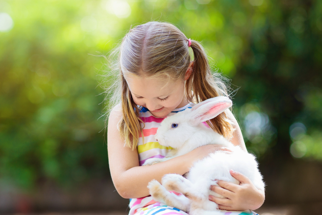 Child with rabbit. Easter bunny. Kids and pets.
