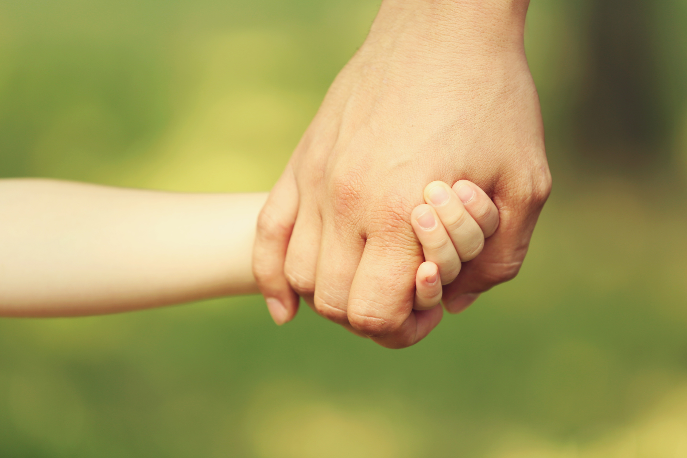 Parent Holding Child's Hand 